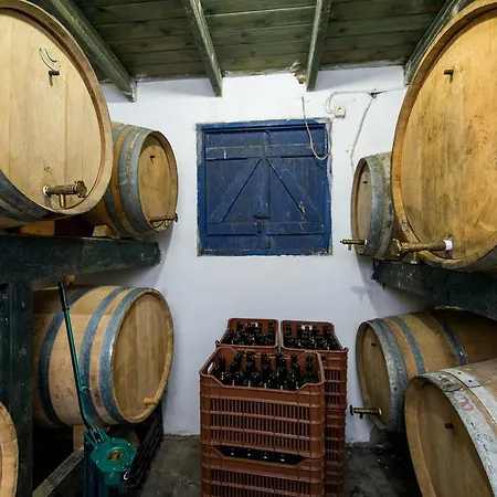 Sandy And Apartahotel 4*