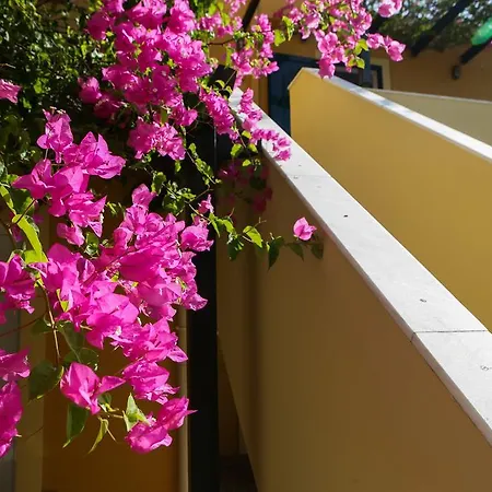 Apartahotel Sandy And 4*