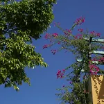 Sandy And Lejlighedshotel