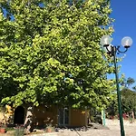 Sandy And Lejlighedshotel Svoronata