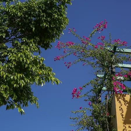 Sandy And Lejlighedshotel