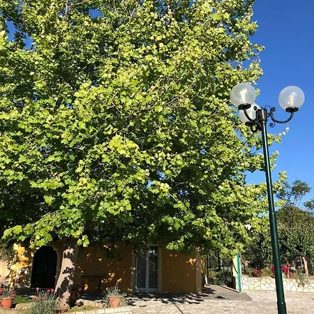 Sandy And Lejlighedshotel Svoronata